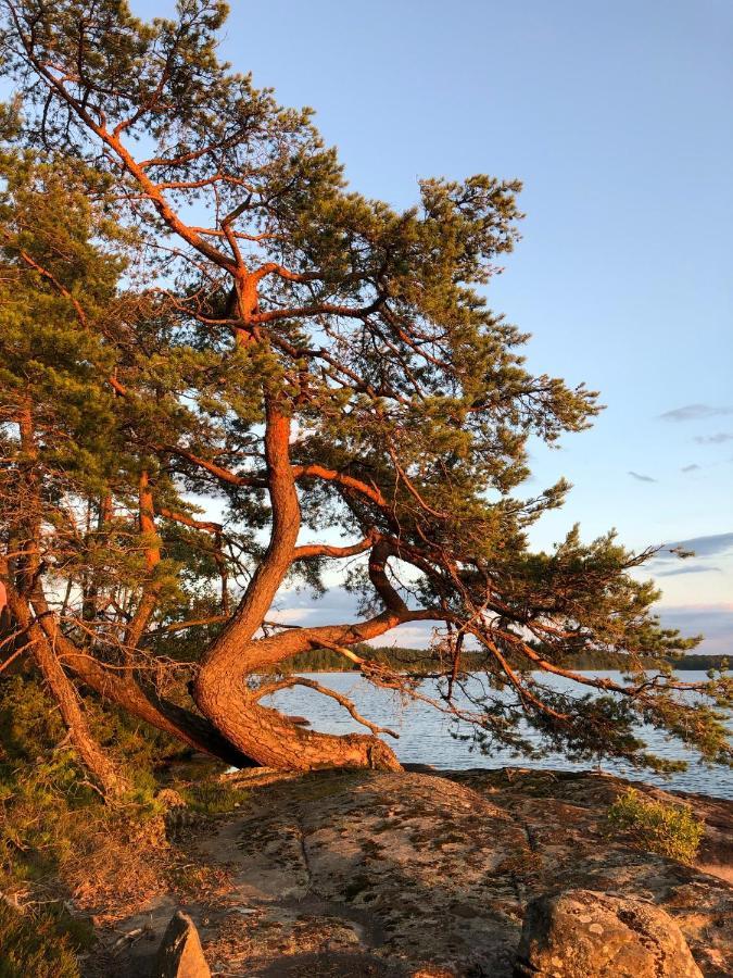 Joarsbo, Stuga 1, Sjoelyckan Kalv エクステリア 写真